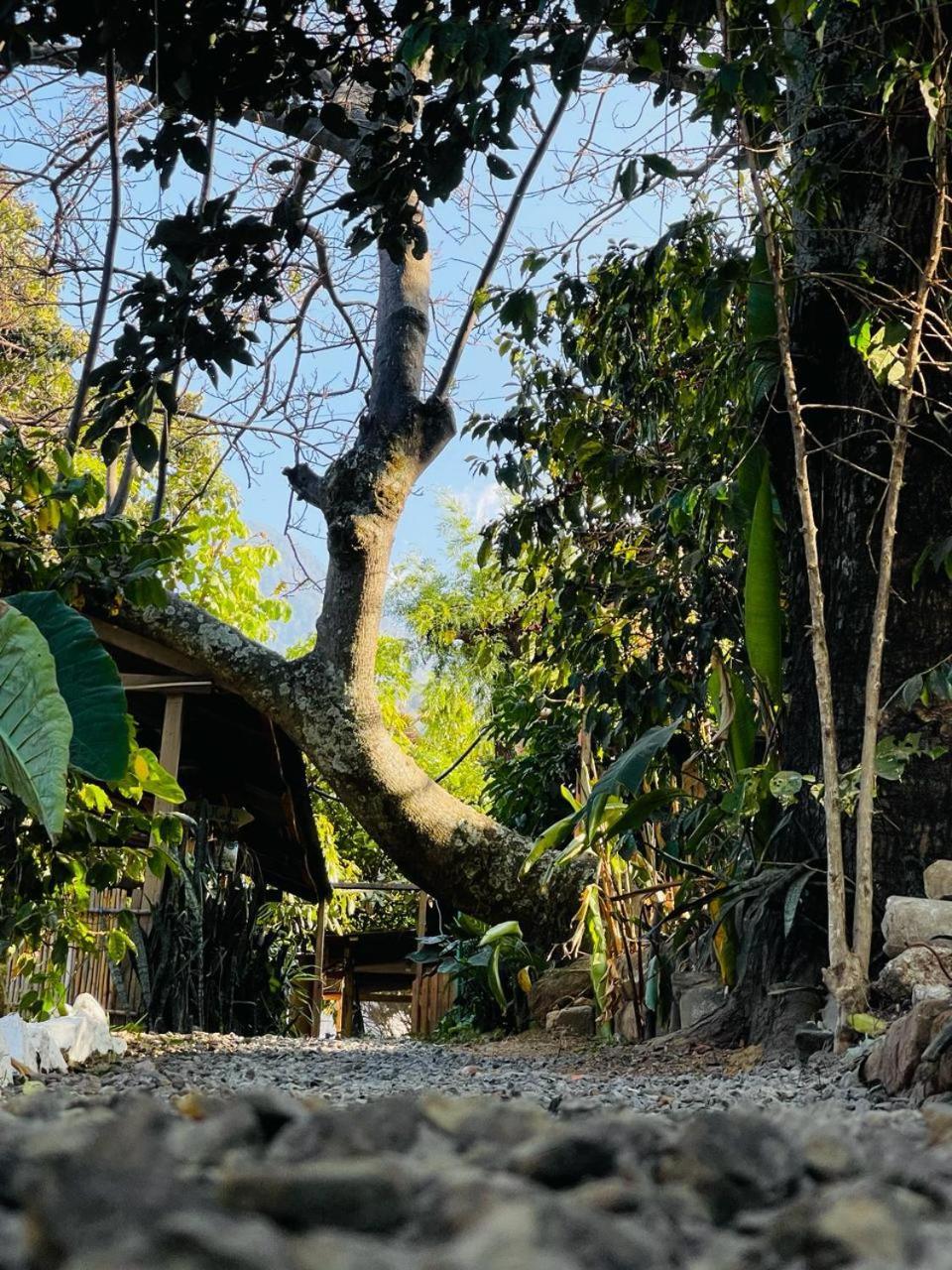 Posada Mana San Juan La Laguna Exteriér fotografie