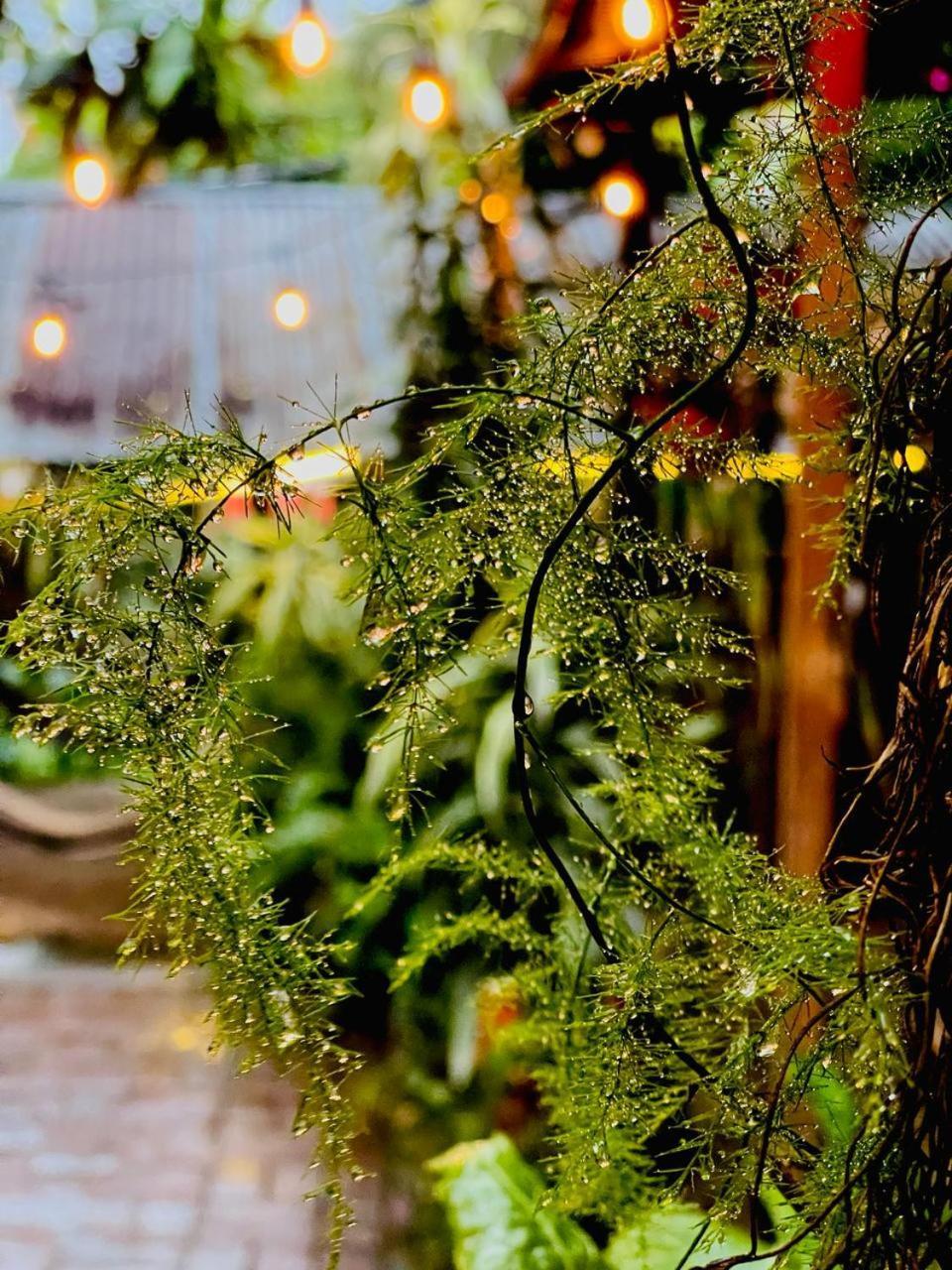 Posada Mana San Juan La Laguna Exteriér fotografie